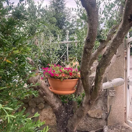 D'ouro Meu House * Sabrosa