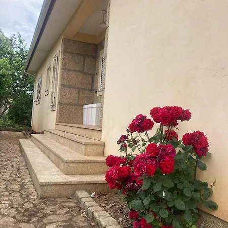 D'ouro Meu House *