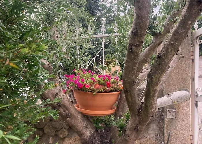 D'ouro Meu House * Sabrosa